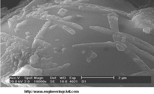 Beginning of Geopolymer phase development on the surface of fly ash particle