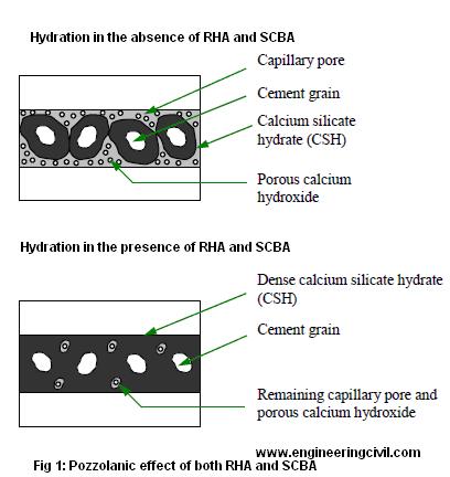 pozzolanic effect of both RHA and SCBA
