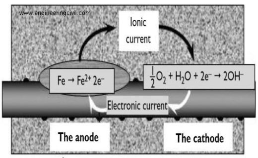 Fig 1. anode and cathode reaction of corroding bar