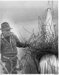 A bridge inspector checks the damaged cable WSDOT