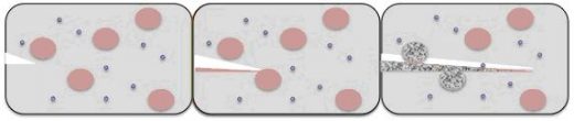 Microcapsule healing