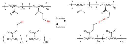 Scheme 5. Reversible polymer cross-linking by disulfide bridges