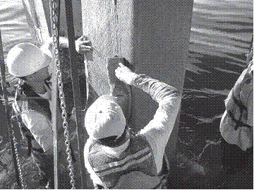 Fig.4.8 Underwater Wrapping, Gandy Bridge, Tampa