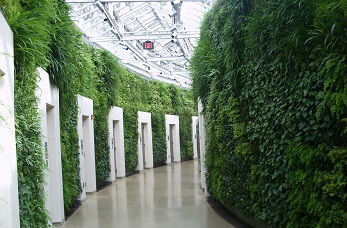 Interior living walls