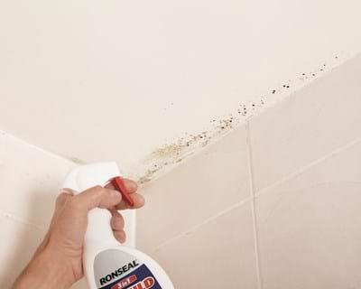 Fig 6: Anti-Condensation Paint