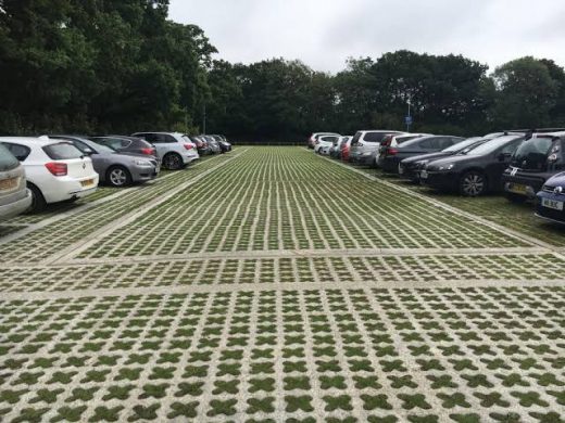 Fig 1 Grasscrete Paver Block