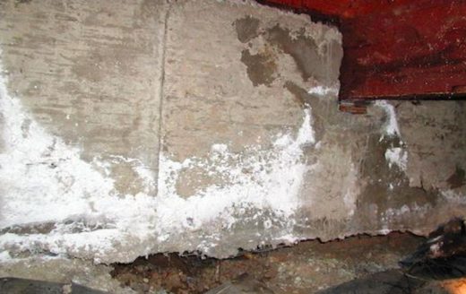 Efflorescence in Plaster Courtesy